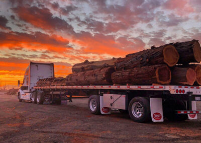 Logs and Urban Lumber