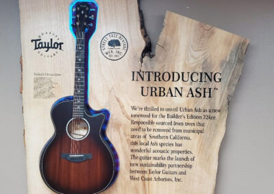 Sustainable Wood Resources - Taylor Guitar