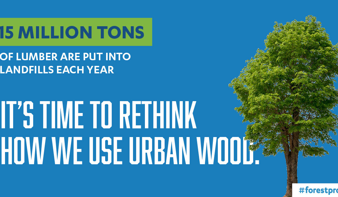 Forest Proud Rethink How We Use Urban Wood