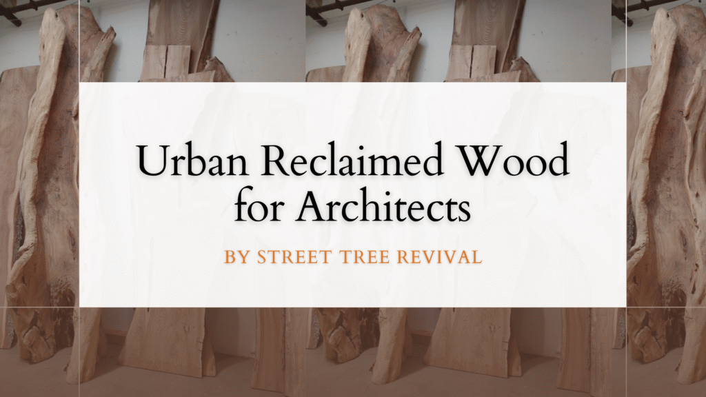 Picture of Urban Reclaimed Wood for Architects by Street Tree Revival - Street ...